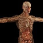 uYHnjLs1PWPKrIAovN-Ye